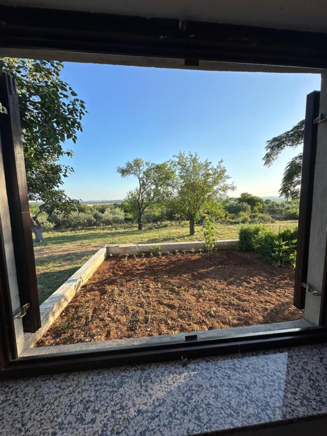 הוילה Relax And Unwind: Family-Friendly House Near Zadar In Zagrad מראה חיצוני תמונה